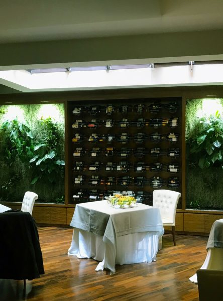 54-pothos-epipremnum-aureum-piante-aromatiche-giardini-verticali-materiali-giardini-verticali-giardini-verticali-fai-da-te